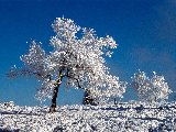Paysages - Hiver - 036