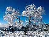 Paysages - Hiver - 042