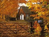 Paysages - Vegetation - 032