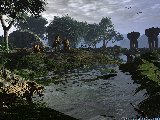 La faune sauvage